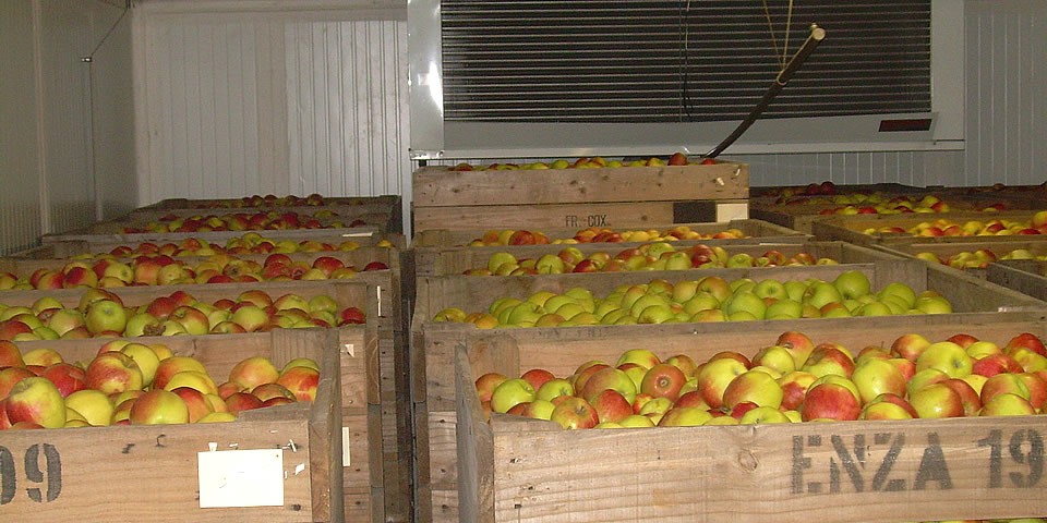 Appels bewaren