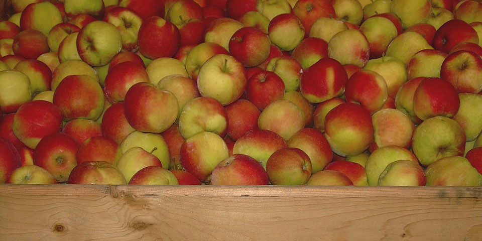 Appelbox