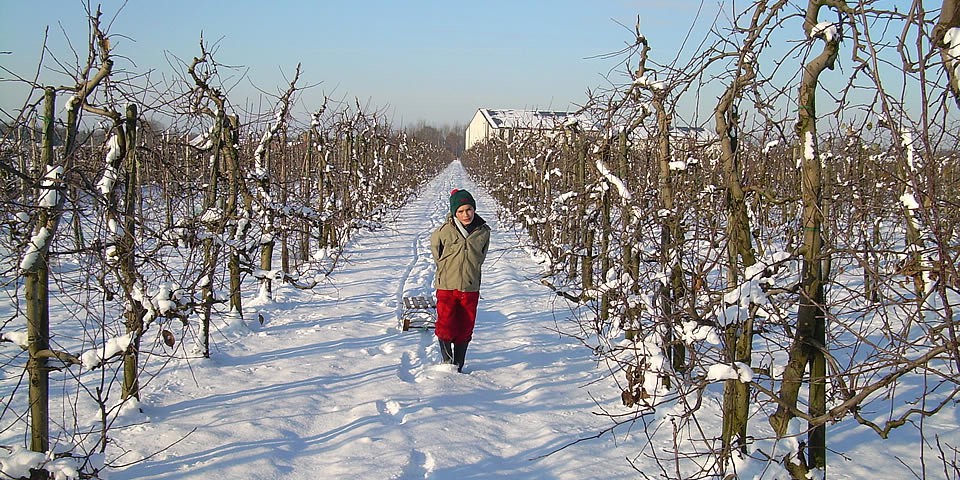 Winter